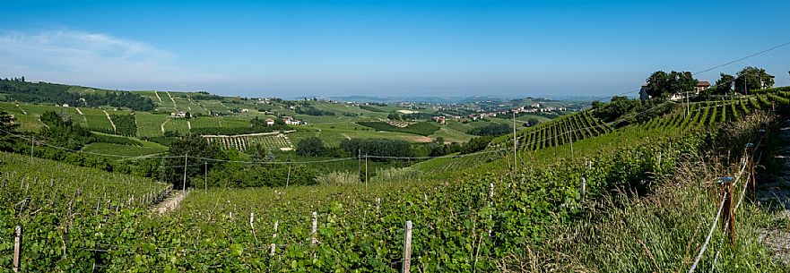 Langa del Moscato Landscape 